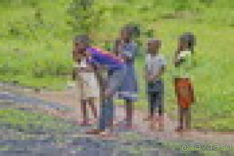 Африканское ралли. Часть 9. Замбия.