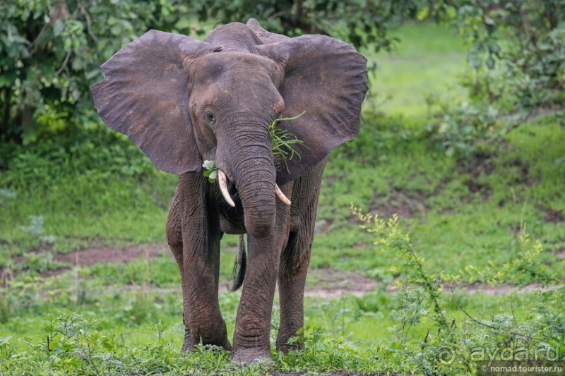 Африканское ралли. Часть 9. Замбия.