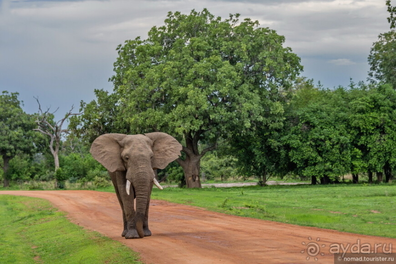 Африканское ралли. Часть 9. Замбия.