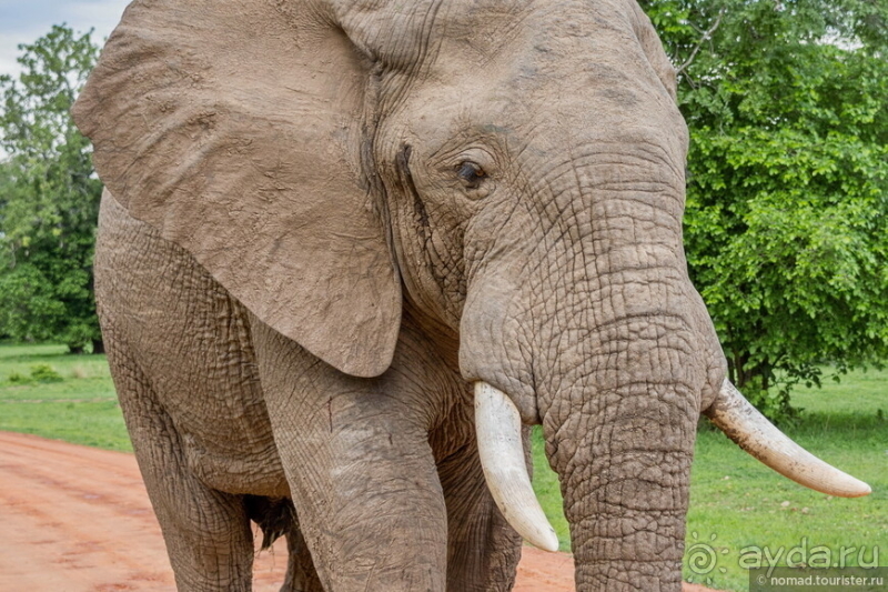 Африканское ралли. Часть 9. Замбия.