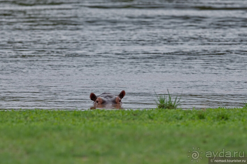 Африканское ралли. Часть 9. Замбия.