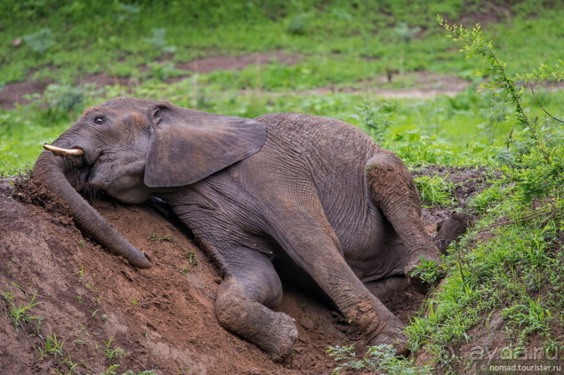 Африканское ралли. Часть 9. Замбия.