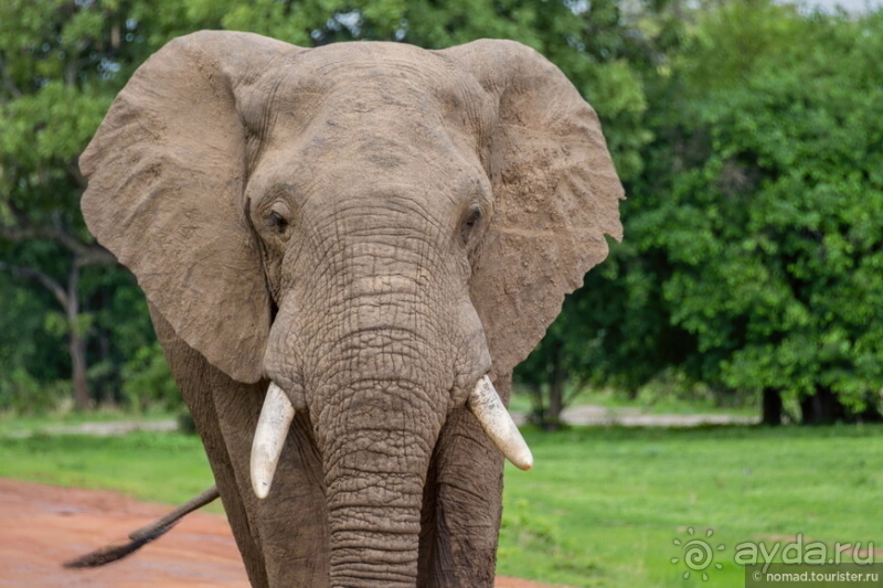 Африканское ралли. Часть 9. Замбия.