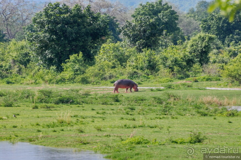 Африканское ралли. Часть 9. Замбия.