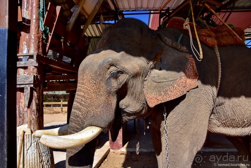 Чианг Рай подробнее