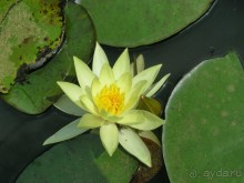 Древние храмы и вечные пляжи. Часть 2