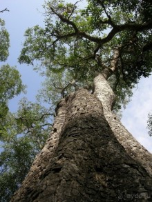 Древние храмы и вечные пляжи. Часть 2