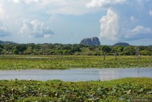 Цейлон на троих. Часть 7