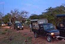 Цейлон на троих. Часть 7