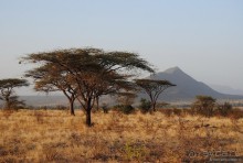 Цейлон на троих. Часть 7