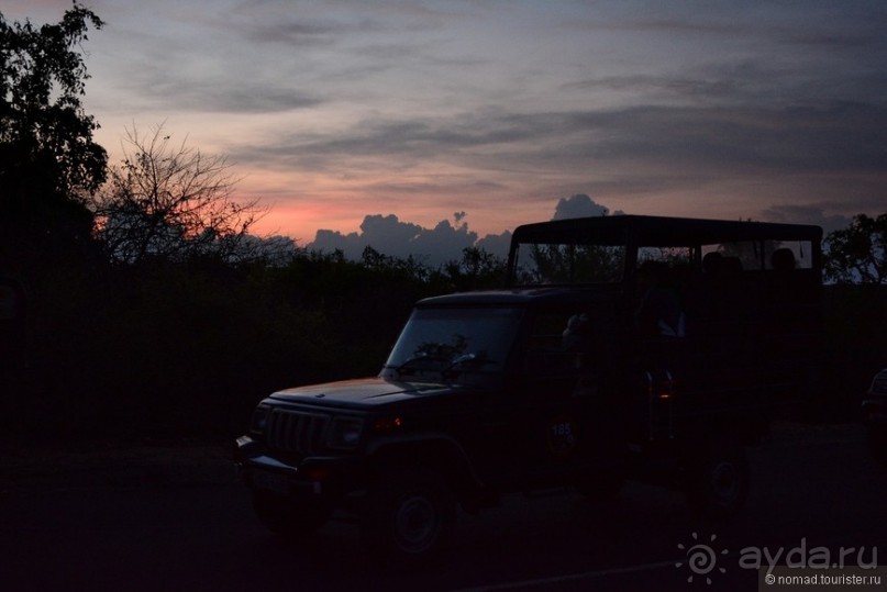 Цейлон на троих. Часть 7