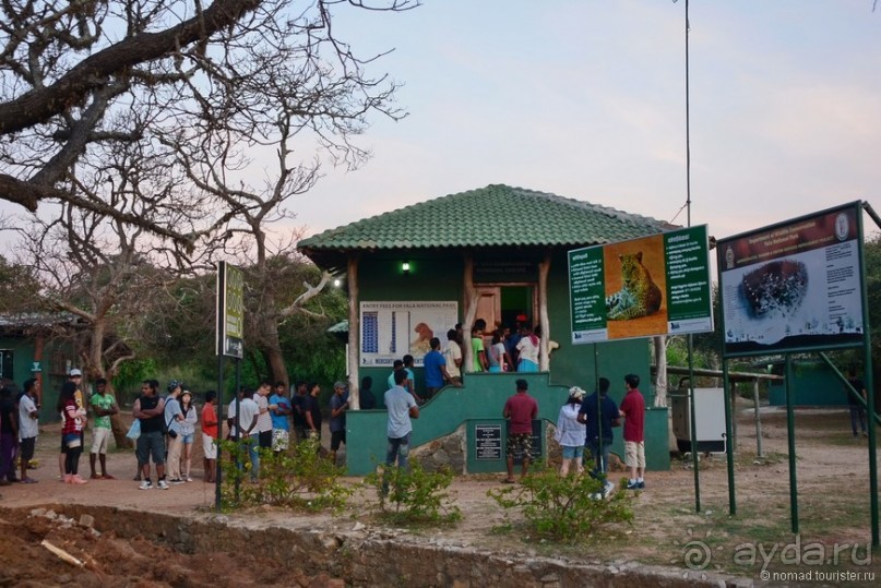 Цейлон на троих. Часть 7