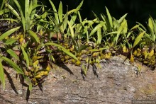 ТАИЛАНДиЯ. Часть 6