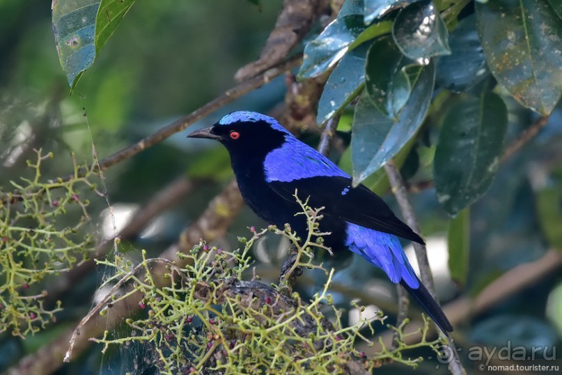 ТАИЛАНДиЯ. Часть 6