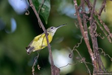 ТАИЛАНДиЯ. Часть 6