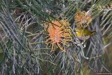 ТАИЛАНДиЯ. Часть 6