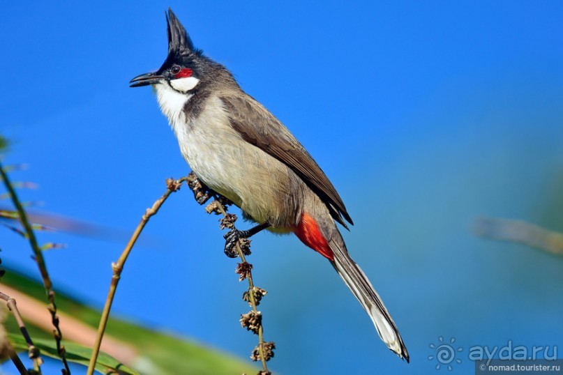 ТАИЛАНДиЯ. Часть 6