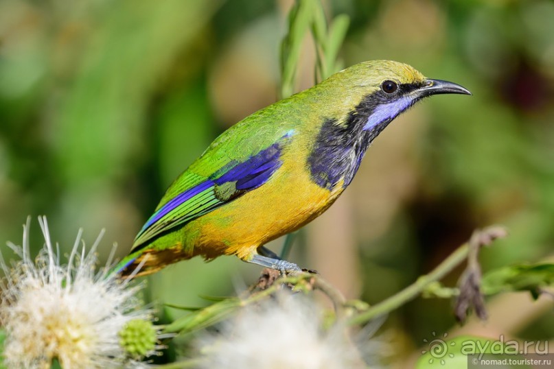 ТАИЛАНДиЯ. Часть 6