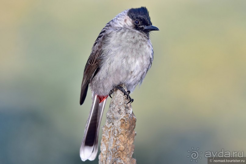 ТАИЛАНДиЯ. Часть 6