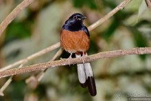 ТАИЛАНДиЯ. Часть 6