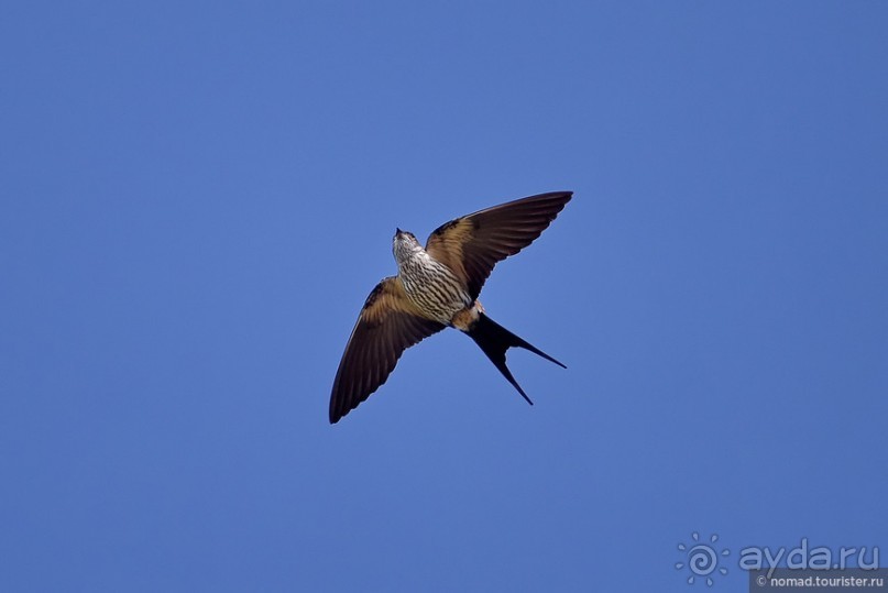 ТАИЛАНДиЯ. Часть 6