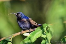 ТАИЛАНДиЯ. Часть 6