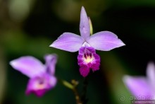 ТАИЛАНДиЯ. Часть 6