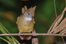 ТАИЛАНДиЯ. Часть 6