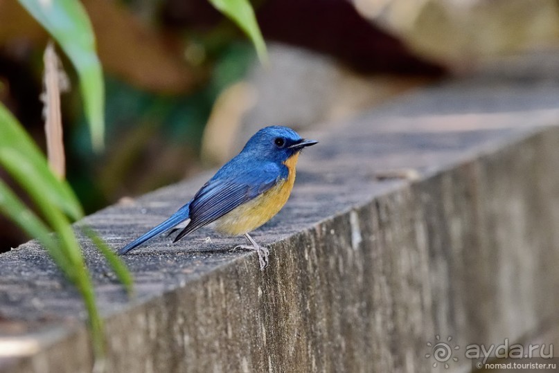 ТАИЛАНДиЯ. Часть 6