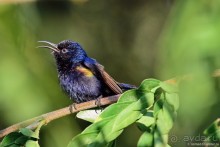 ТАИЛАНДиЯ. Часть 6