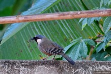 ТАИЛАНДиЯ. Часть 6