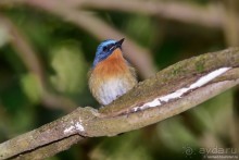 ТАИЛАНДиЯ. Часть 6