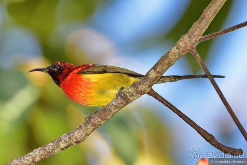 ТАИЛАНДиЯ. Часть 6