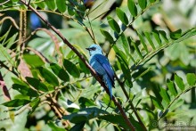 ТАИЛАНДиЯ. Часть 6