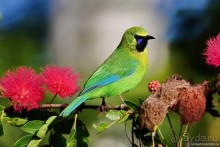 ТАИЛАНДиЯ. Часть 6