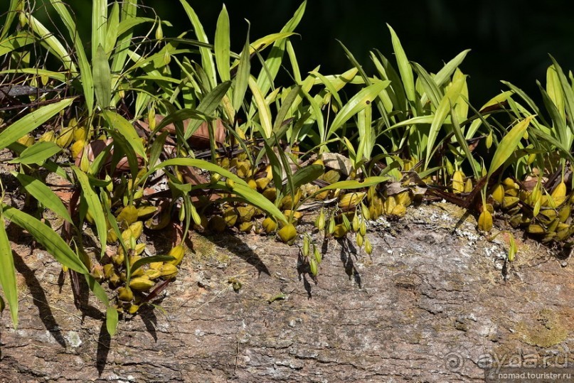 ТАИЛАНДиЯ. Часть 6