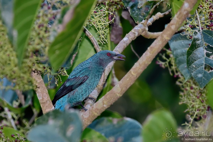 ТАИЛАНДиЯ. Часть 6