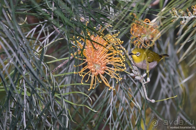 ТАИЛАНДиЯ. Часть 6