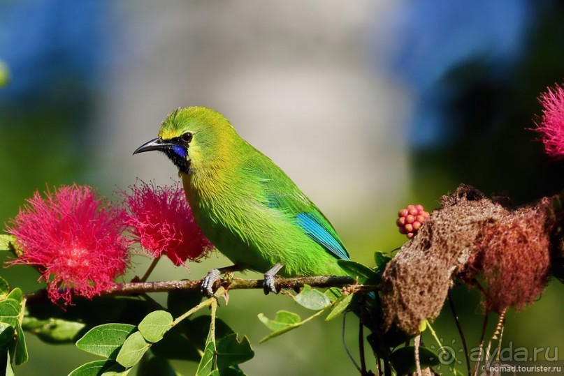 ТАИЛАНДиЯ. Часть 6