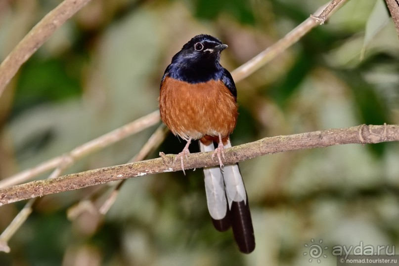 ТАИЛАНДиЯ. Часть 6