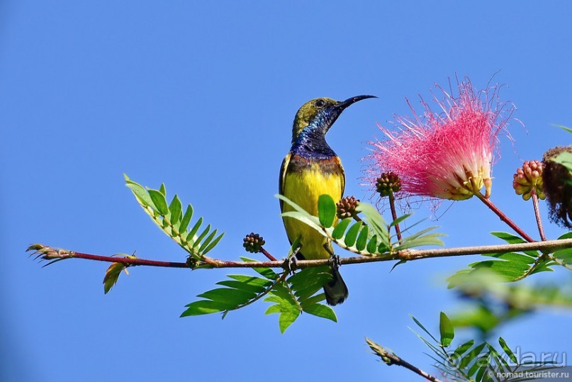 ТАИЛАНДиЯ. Часть 6