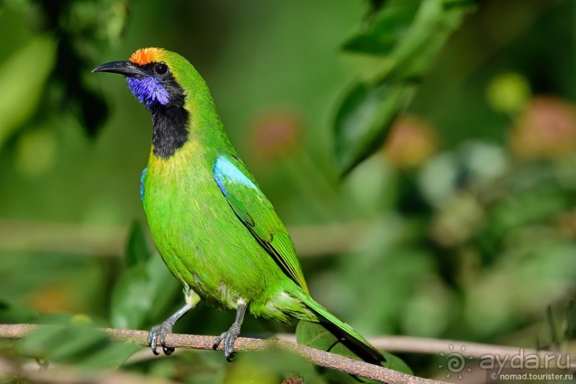 ТАИЛАНДиЯ. Часть 6