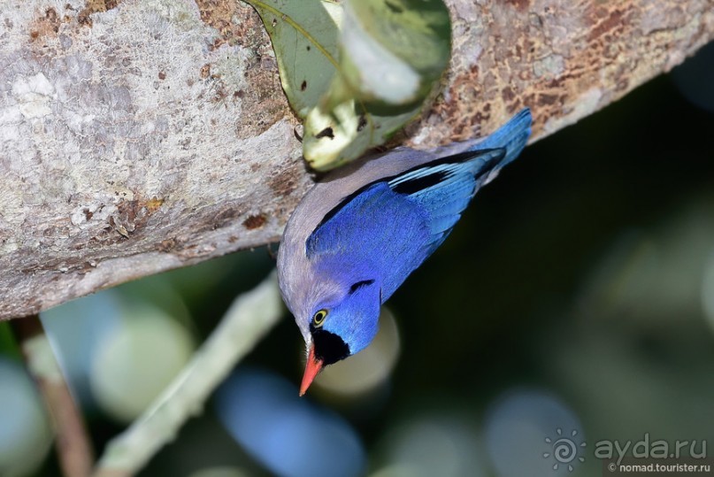 ТАИЛАНДиЯ. Часть 6