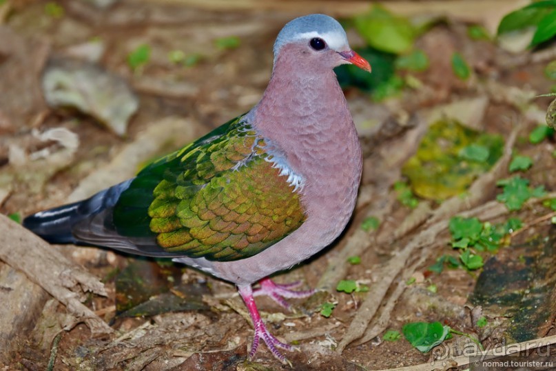 ТАИЛАНДиЯ. Часть 6