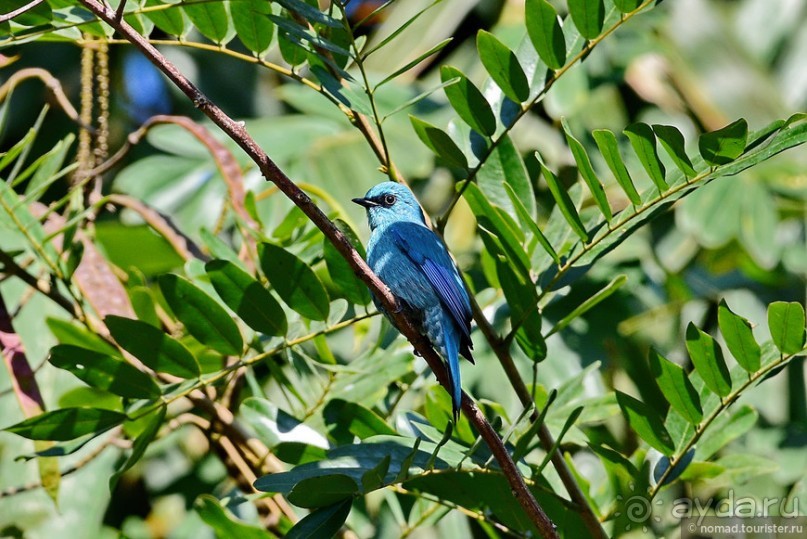 ТАИЛАНДиЯ. Часть 6