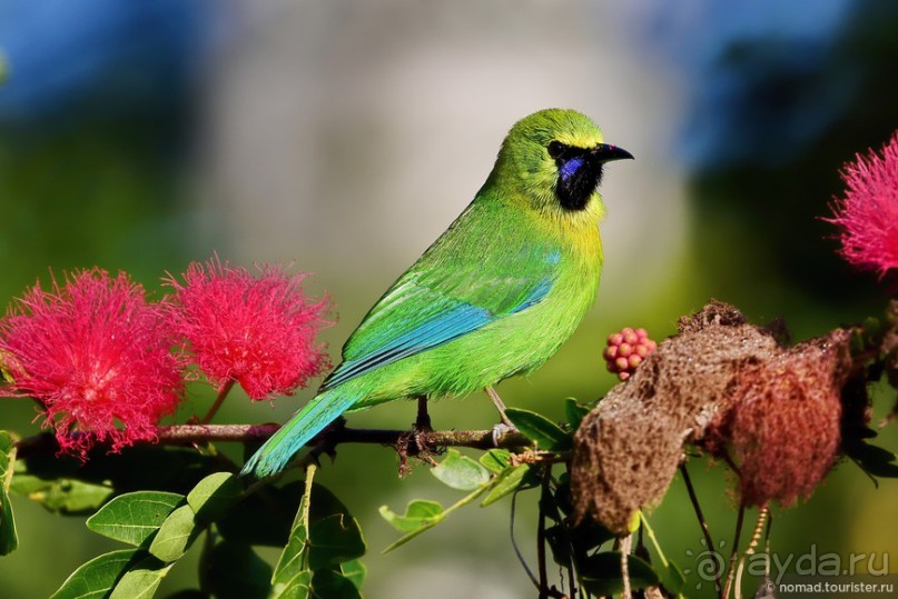 ТАИЛАНДиЯ. Часть 6