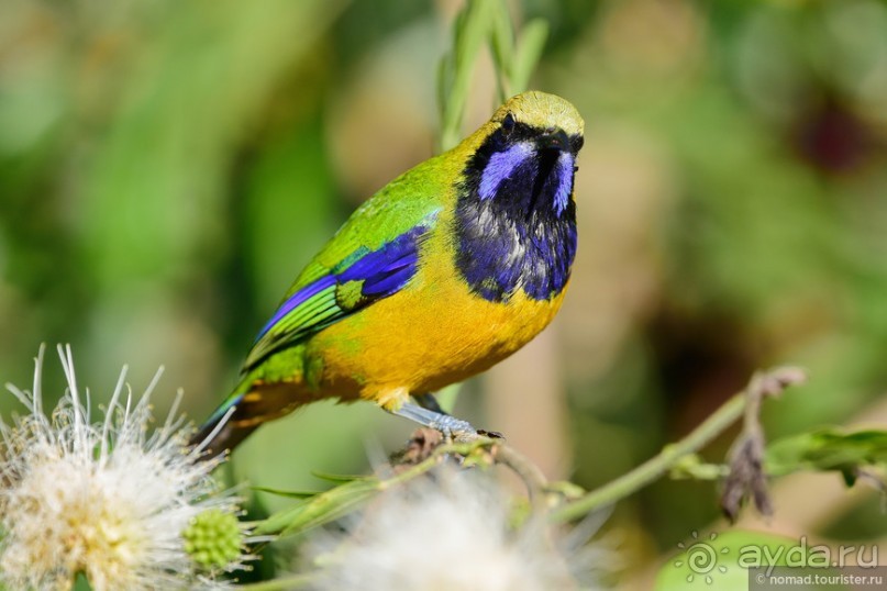 ТАИЛАНДиЯ. Часть 6