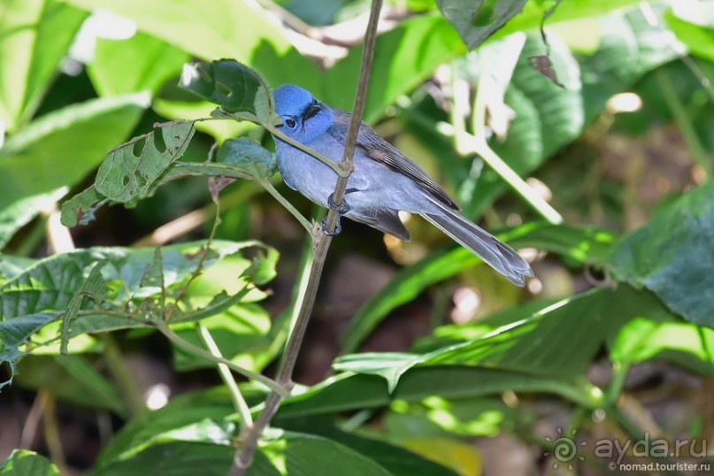 ТАИЛАНДиЯ. Часть 6