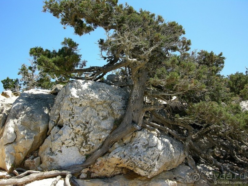 Мифос и Метакса древнего Родоса. Часть 3