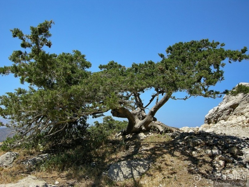 Мифос и Метакса древнего Родоса. Часть 3